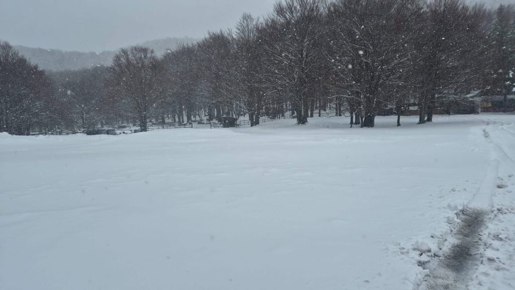 Irpinia imbiancata, paesaggi incantati dopo la neve: scenari da cartolina (foto)