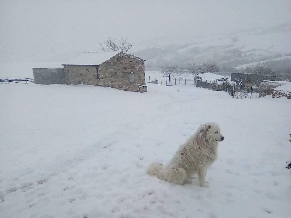 Irpinia imbiancata, paesaggi incantati dopo la neve: scenari da cartolina (foto)