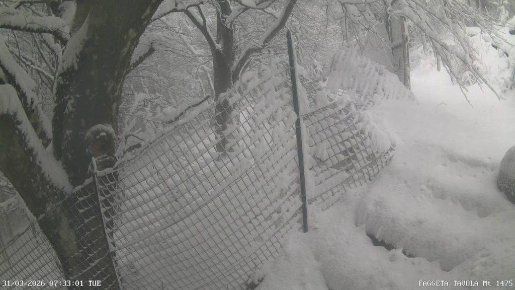 Irpinia imbiancata, paesaggi incantati dopo la neve: scenari da cartolina (foto)