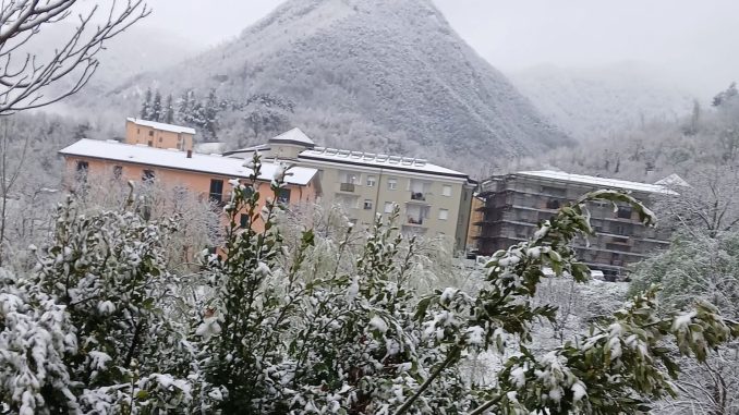 WhatsApp Image 2026-03-31 at 19.55.40