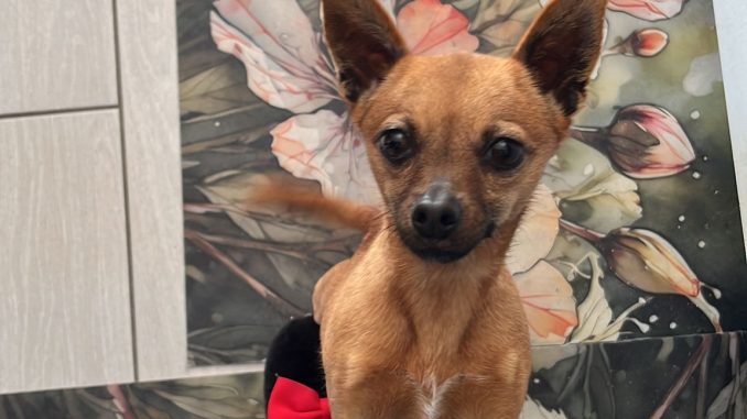 f58bf398-ad8a-46b5-9875-dcf1b9aff1f9