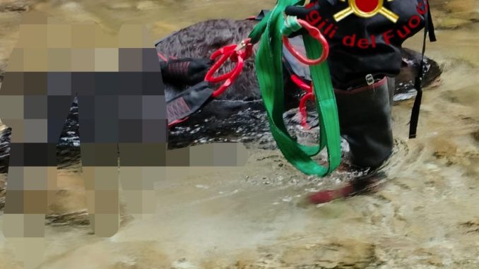 f832d1d0-c597-4367-ae83-cc53515b7e7a