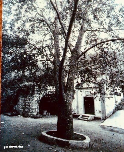 Mercoledì in Albis: Fontana Vecchia, dove torna un popolo Mercoledì in Albis: Fontana Vecchia, dove torna un popolo