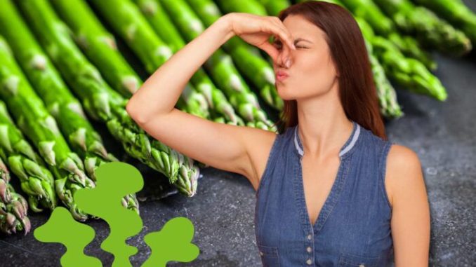 WhatsApp Image 2026-04-07 at 18.27.29