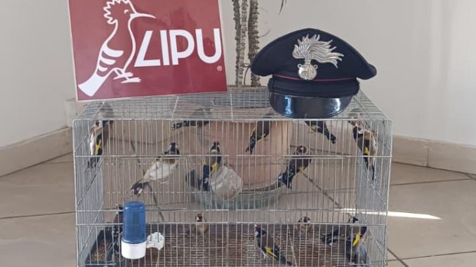 WhatsApp Image 2026-04-12 at 21.56.19