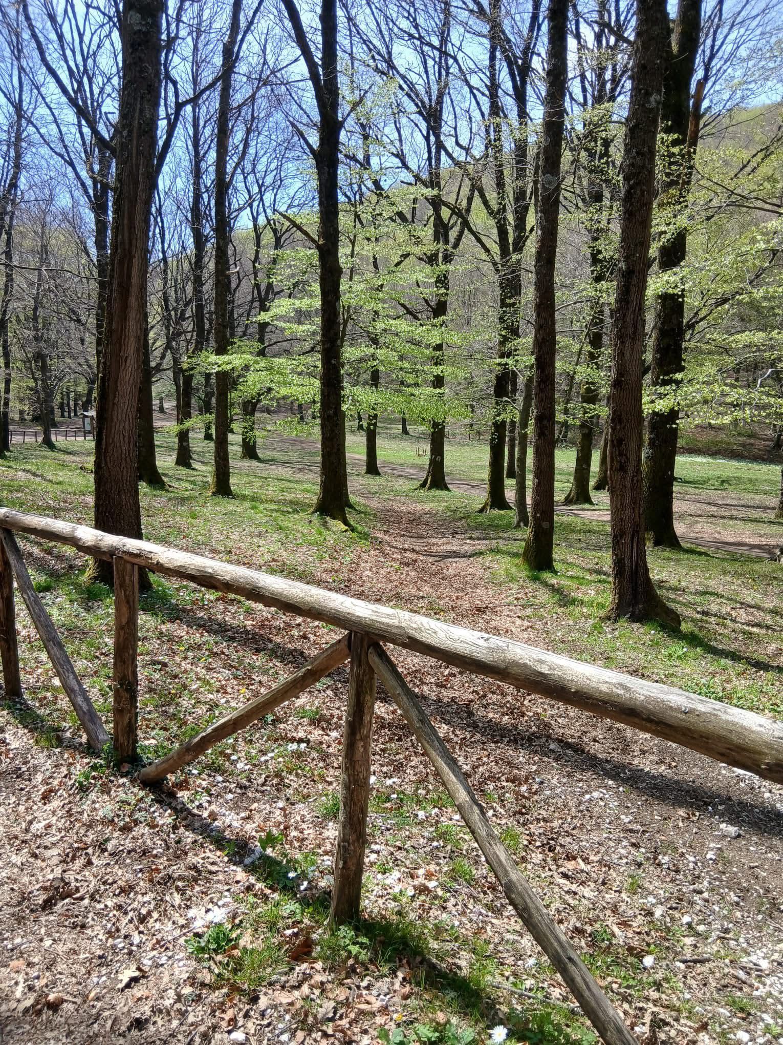 Giornata ecologica: meno polemiche, più responsabilità