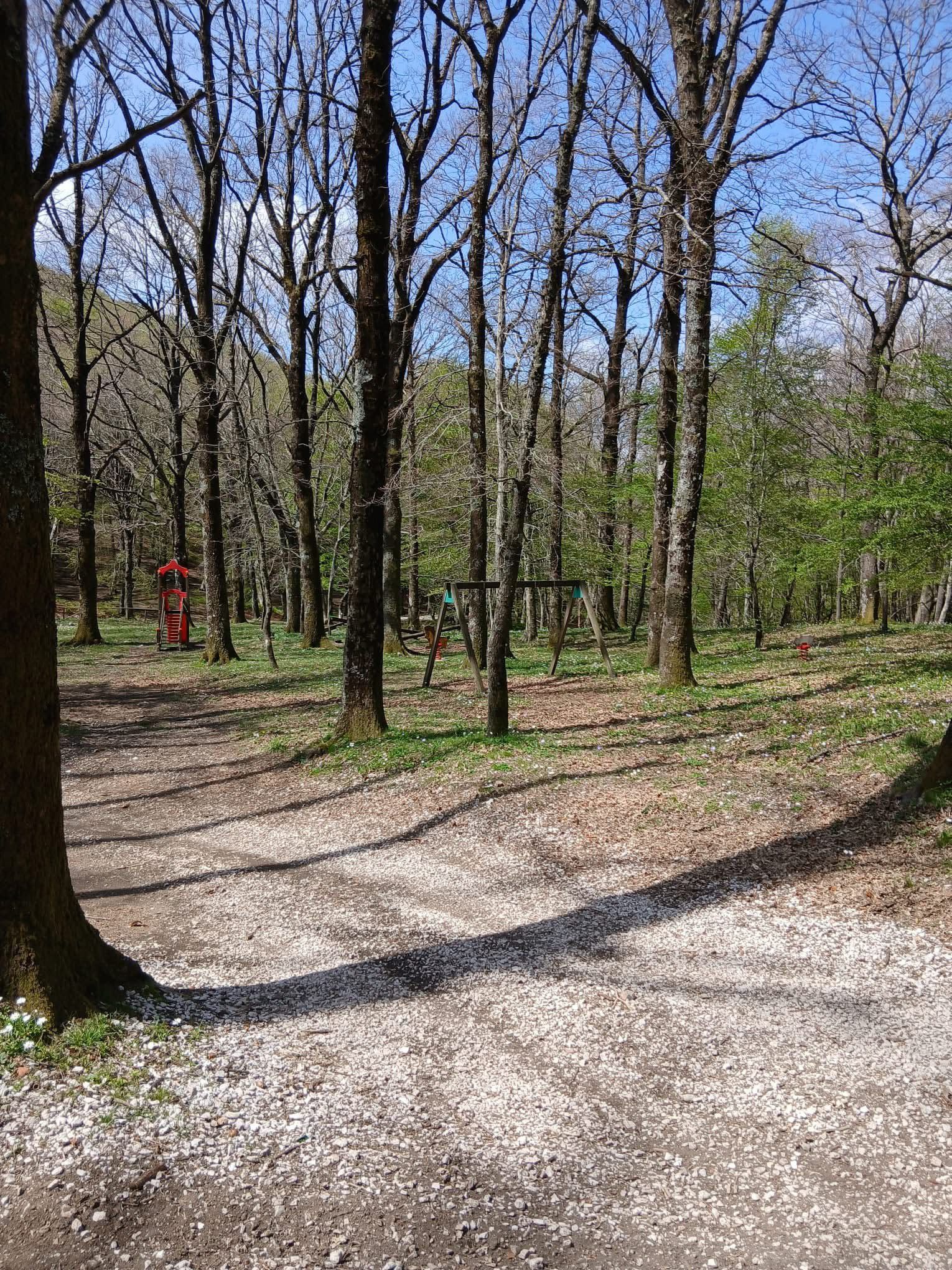 Giornata ecologica: meno polemiche, più responsabilità