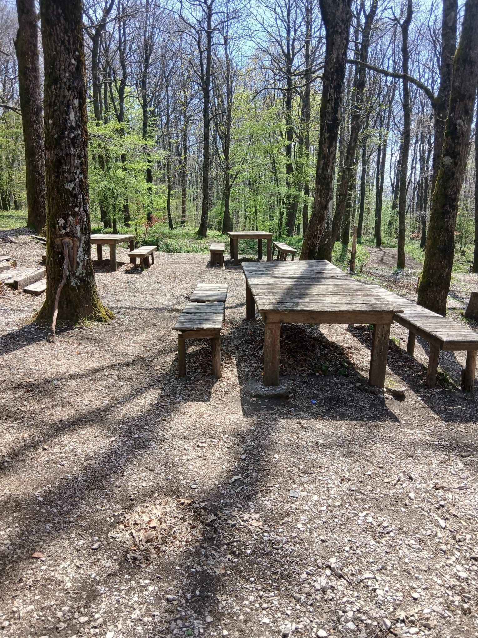 Giornata ecologica: meno polemiche, più responsabilità