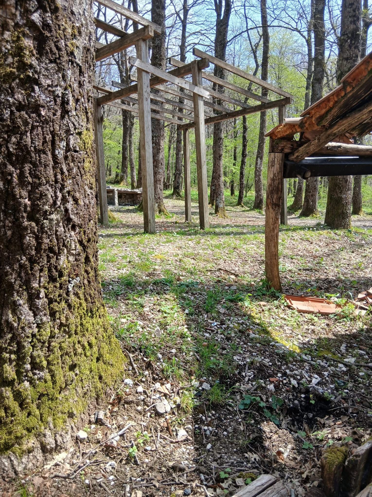 Giornata ecologica: meno polemiche, più responsabilità