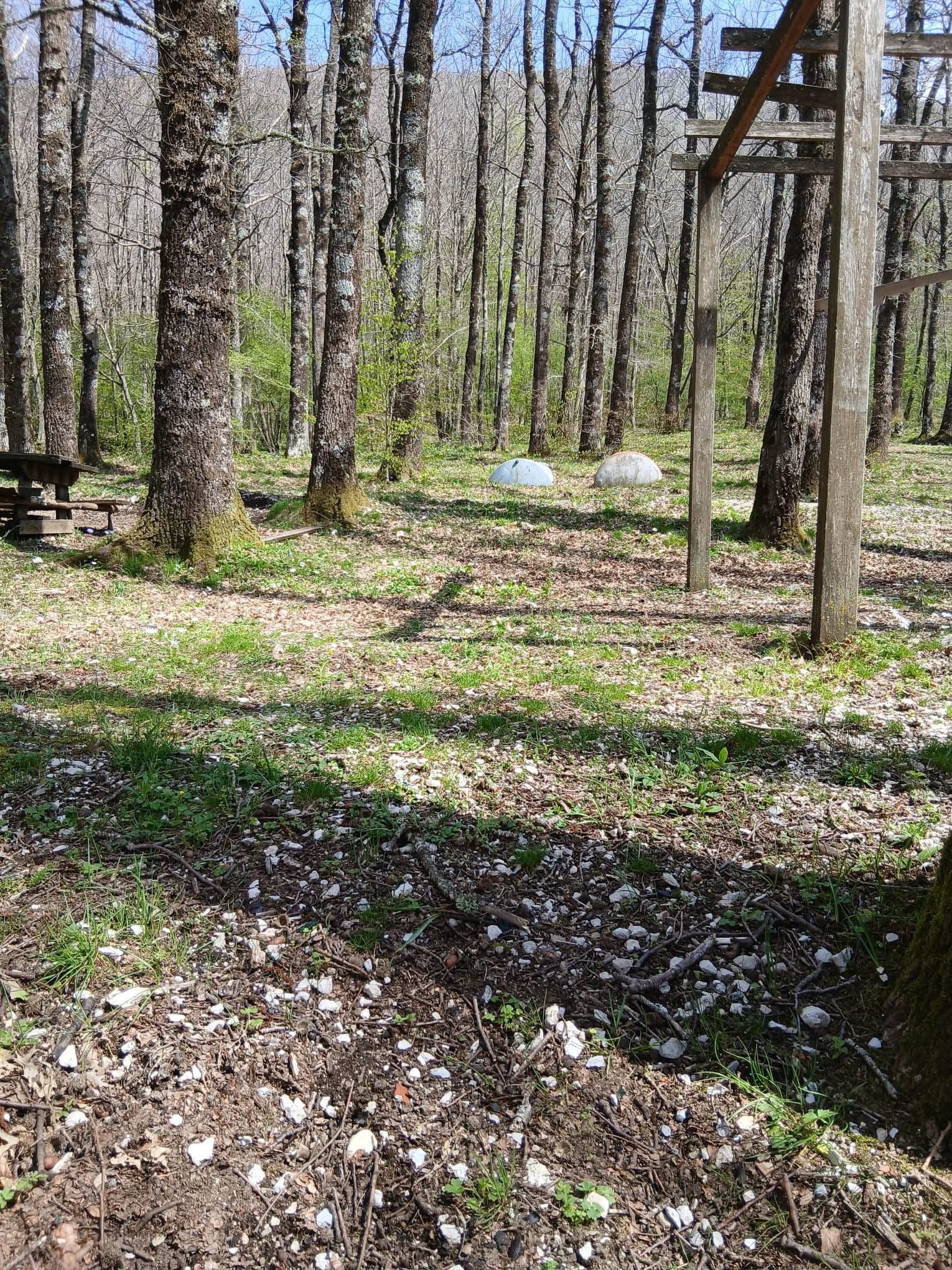 Giornata ecologica: meno polemiche, più responsabilità