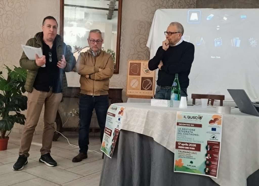 Taurano, partecipazione e contenuti di qualità all’incontro sulla gestione del castagno