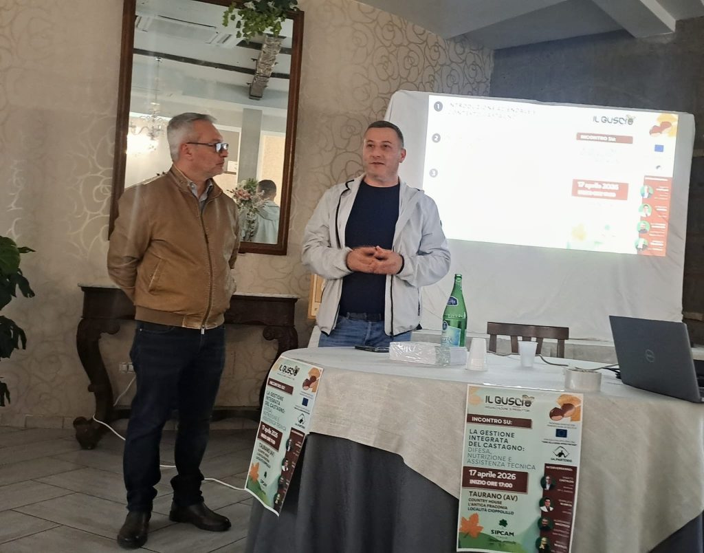 Taurano, partecipazione e contenuti di qualità all’incontro sulla gestione del castagno