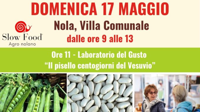 Locandina Mercato della Terra Nola_17maggio2026