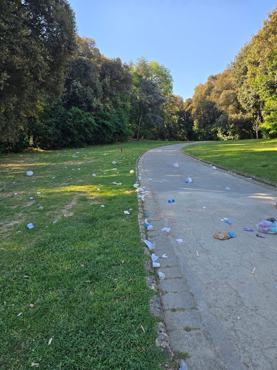 Capodimonte dopo il Primo Maggio, il Bosco trasformato in discarica: la vergogna dell’inciviltà Capodimonte dopo il Primo Maggio, il Bosco trasformato in discarica: la vergogna dell’inciviltà