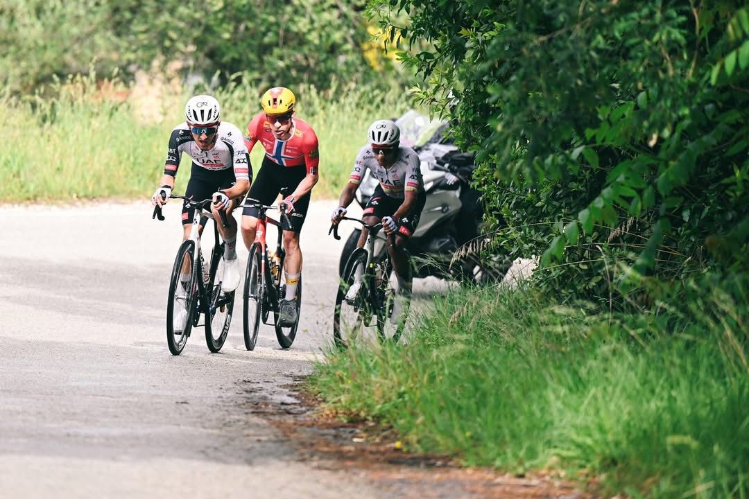 Giro d’Italia, Narvaez vince sui muri di Fermo: Eulalio resta in rosa
