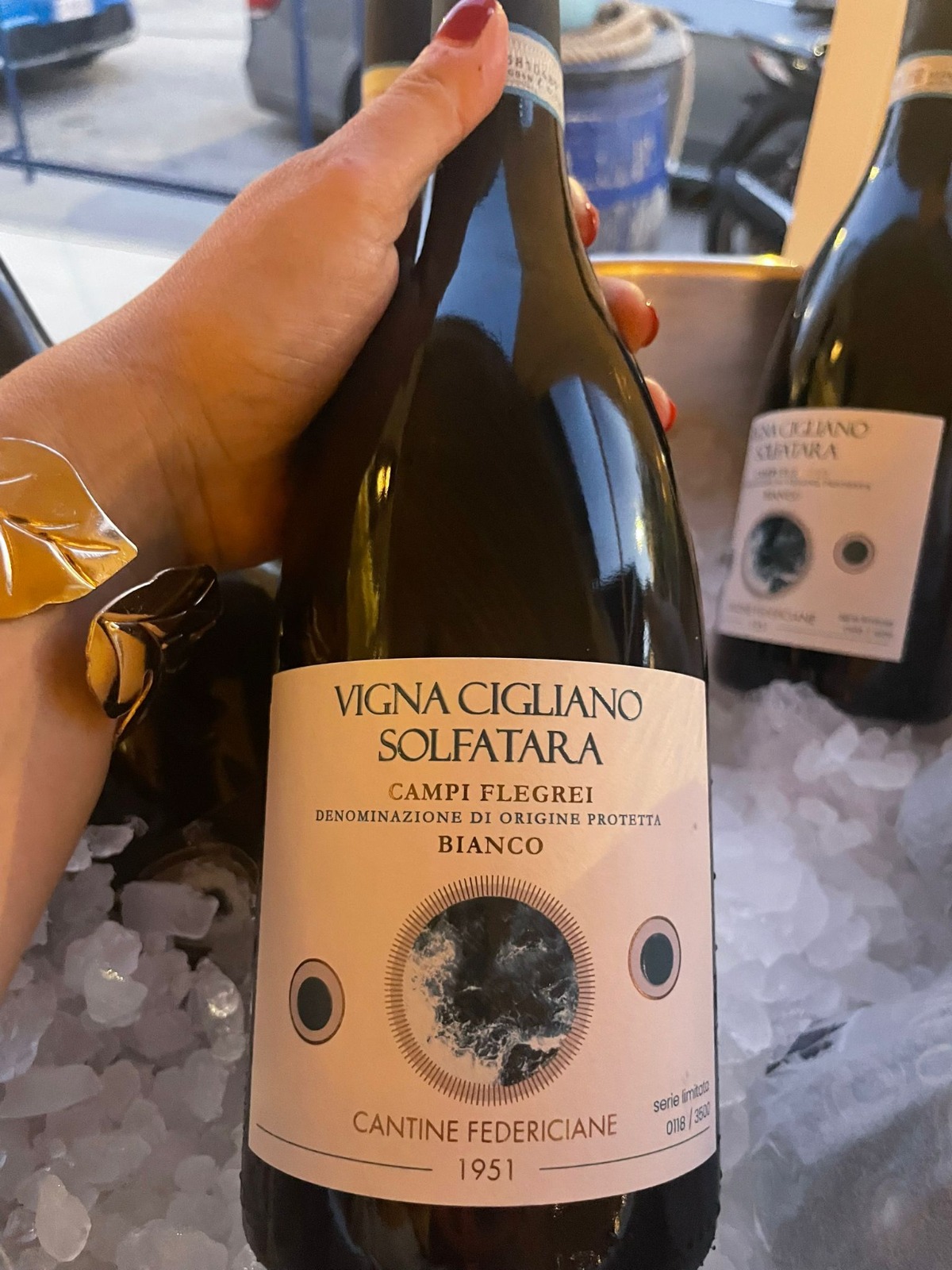 Alchimie di Vite: il viaggio enogastronomico di Cantine Federiciane e L’Amo di Caserta tra vino, arte e territorio Alchimie di Vite: il viaggio enogastronomico di Cantine Federiciane e L’Amo di Caserta tra vino, arte e territorio