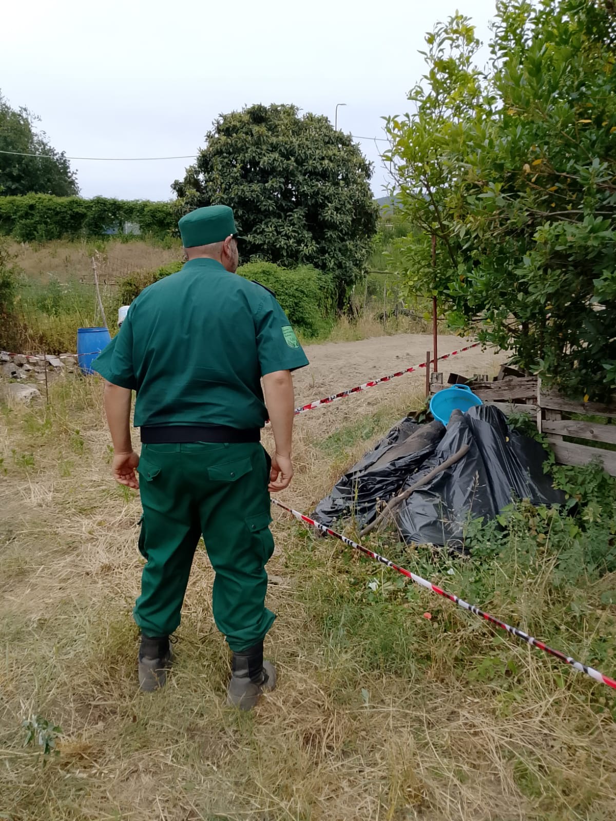 Lauro, scoperti rifiuti speciali e animali in condizioni critiche: intervento di Guardia Agroforestale, Carabinieri e ASL Lauro, scoperti rifiuti speciali e animali in condizioni critiche: intervento di Guardia Agroforestale, Carabinieri e ASL