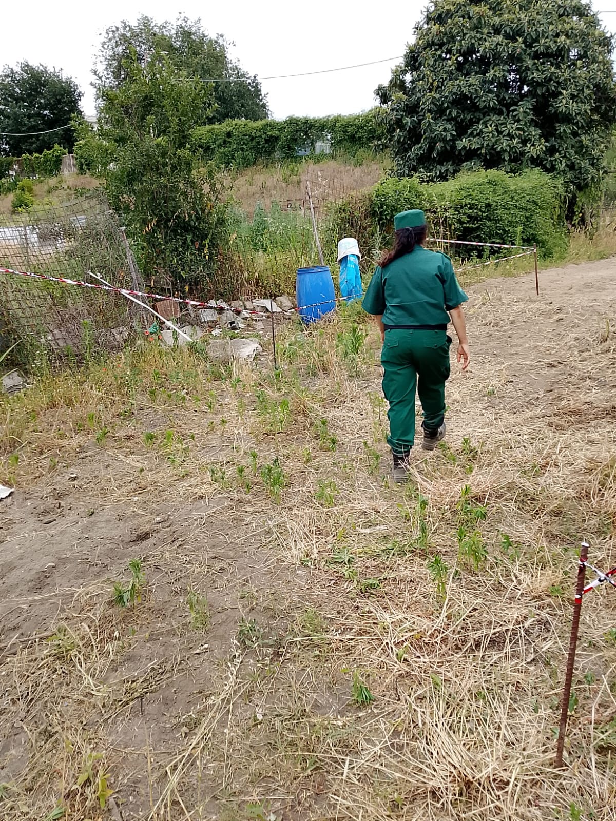 Lauro, scoperti rifiuti speciali e animali in condizioni critiche: intervento di Guardia Agroforestale, Carabinieri e ASL Lauro, scoperti rifiuti speciali e animali in condizioni critiche: intervento di Guardia Agroforestale, Carabinieri e ASL