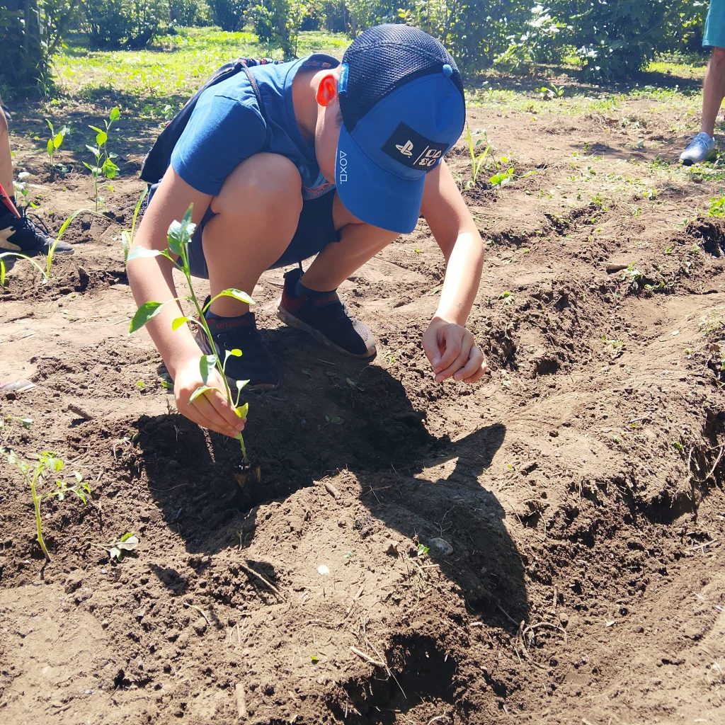 Sperone, successo per lOrto Educativo: bambini e ragazzi alla scoperta della natura