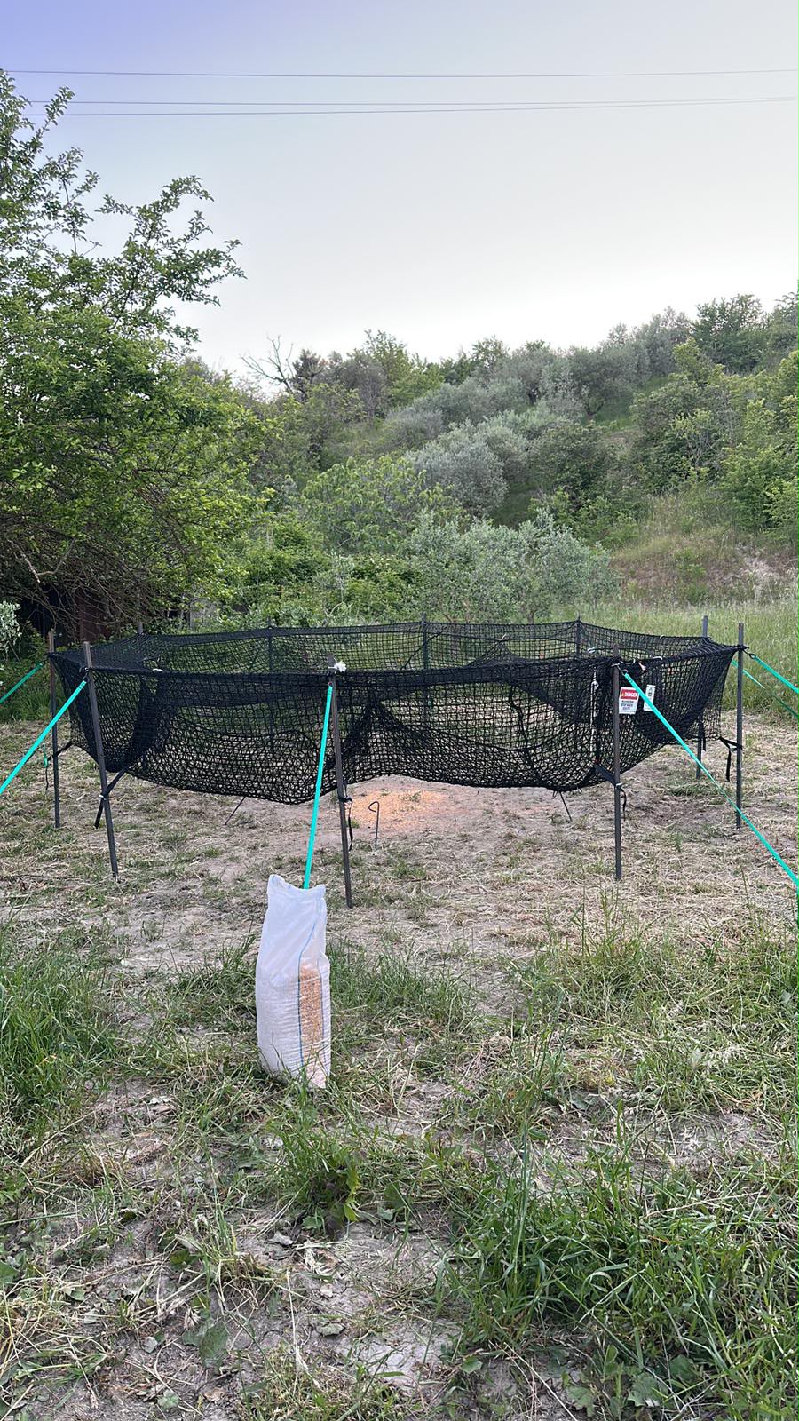 Emergenza cinghiali in Irpinia: l’Asl in campo con teleselezione, telenarcosi ed eutanasia per garantire la sicurezza pubblica Emergenza cinghiali in Irpinia: l’Asl in campo con teleselezione, telenarcosi ed eutanasia per garantire la sicurezza pubblica