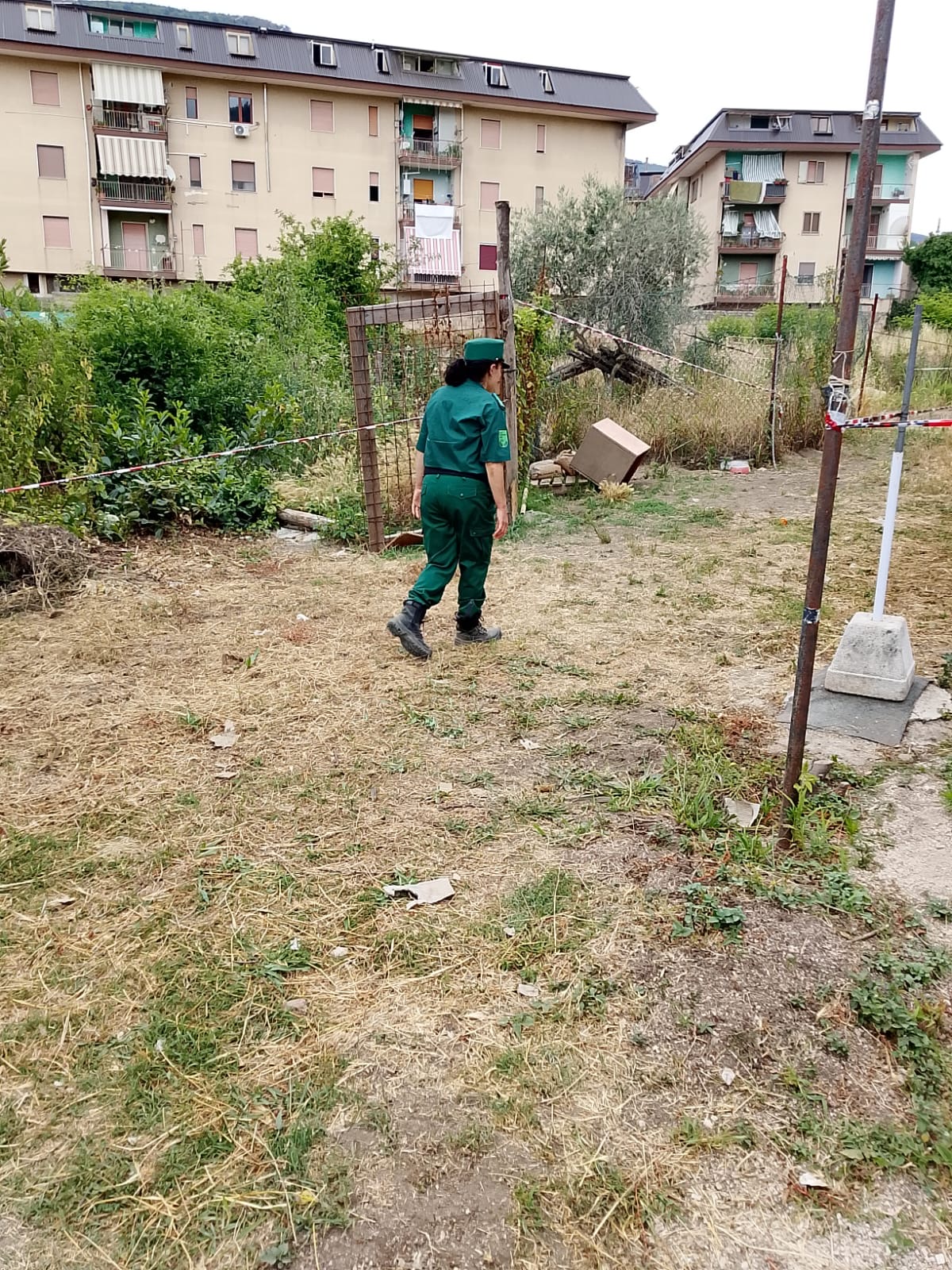 Lauro, scoperti rifiuti speciali e animali in condizioni critiche: intervento di Guardia Agroforestale, Carabinieri e ASL Lauro, scoperti rifiuti speciali e animali in condizioni critiche: intervento di Guardia Agroforestale, Carabinieri e ASL