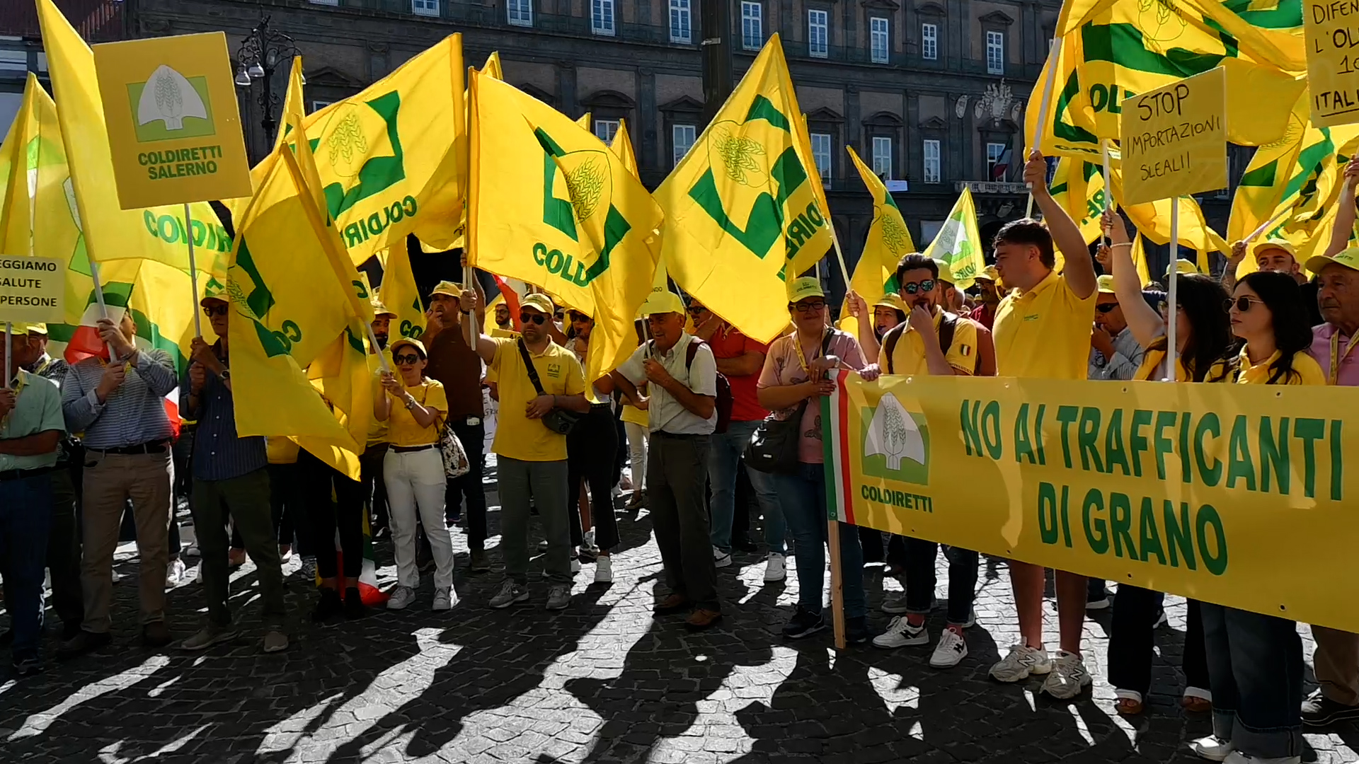 PREZZI: COLDIRETTI CAMPANIA, CONTRO I TRAFFICANTI DI OLIO E GRANO GLI AGRICOLTORI SCENDONO IN PIAZZA PREZZI: COLDIRETTI CAMPANIA, CONTRO I TRAFFICANTI DI OLIO E GRANO GLI AGRICOLTORI SCENDONO IN PIAZZA