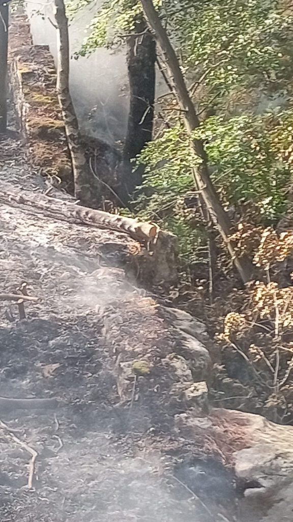 Forino (AV): A Fuoco la Collina di San Nicola con fiamme vicinissime al Santuario del Santo di Mira. Sconcerto e indignazione in paese