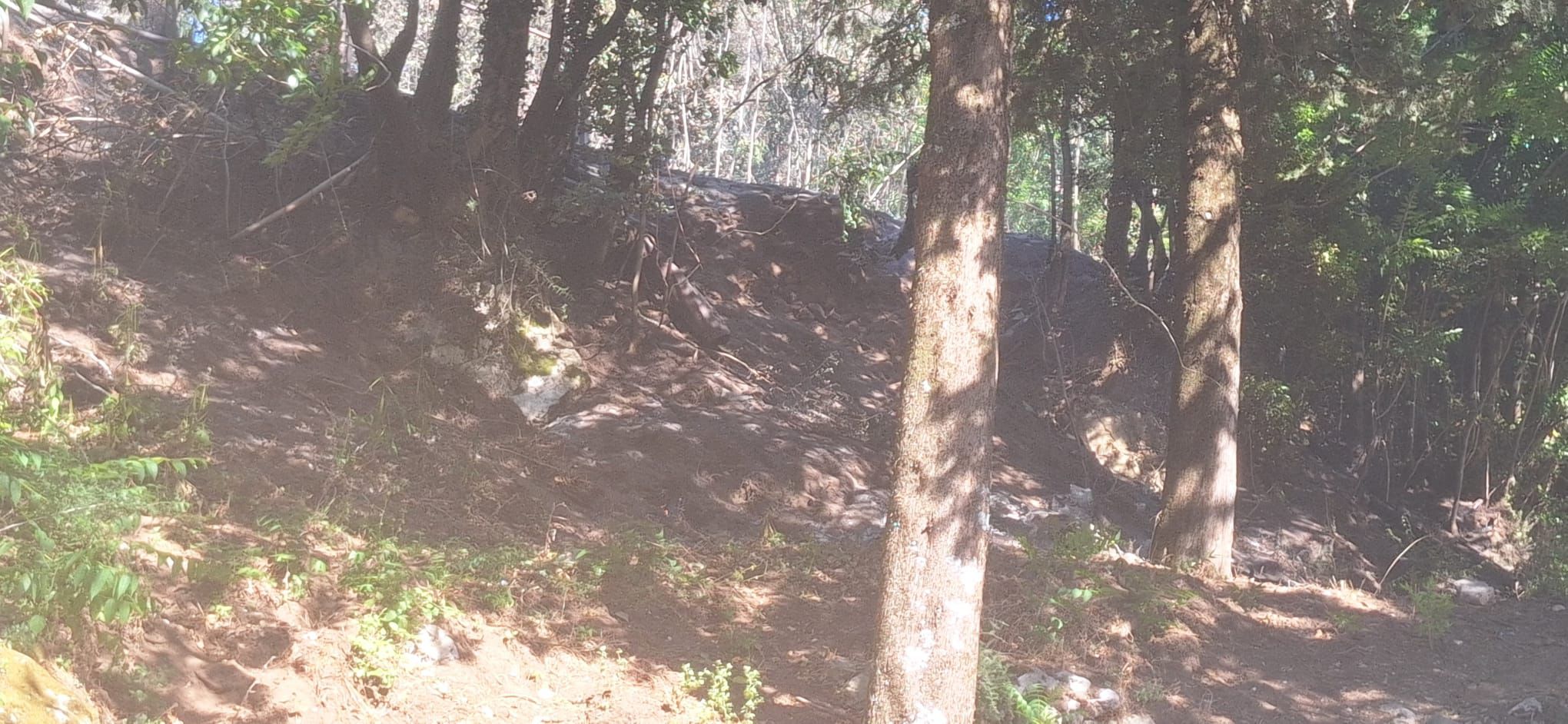 Quadrelle, incendio nella Pineta di Gesù e Maria: decisivo l’intervento della Comunità Montana Vallo Lauro Partenio – squadra A.I.B. di Avella Quadrelle, incendio nella Pineta di Gesù e Maria: decisivo l’intervento della Comunità Montana Vallo Lauro Partenio – squadra A.I.B. di Avella
