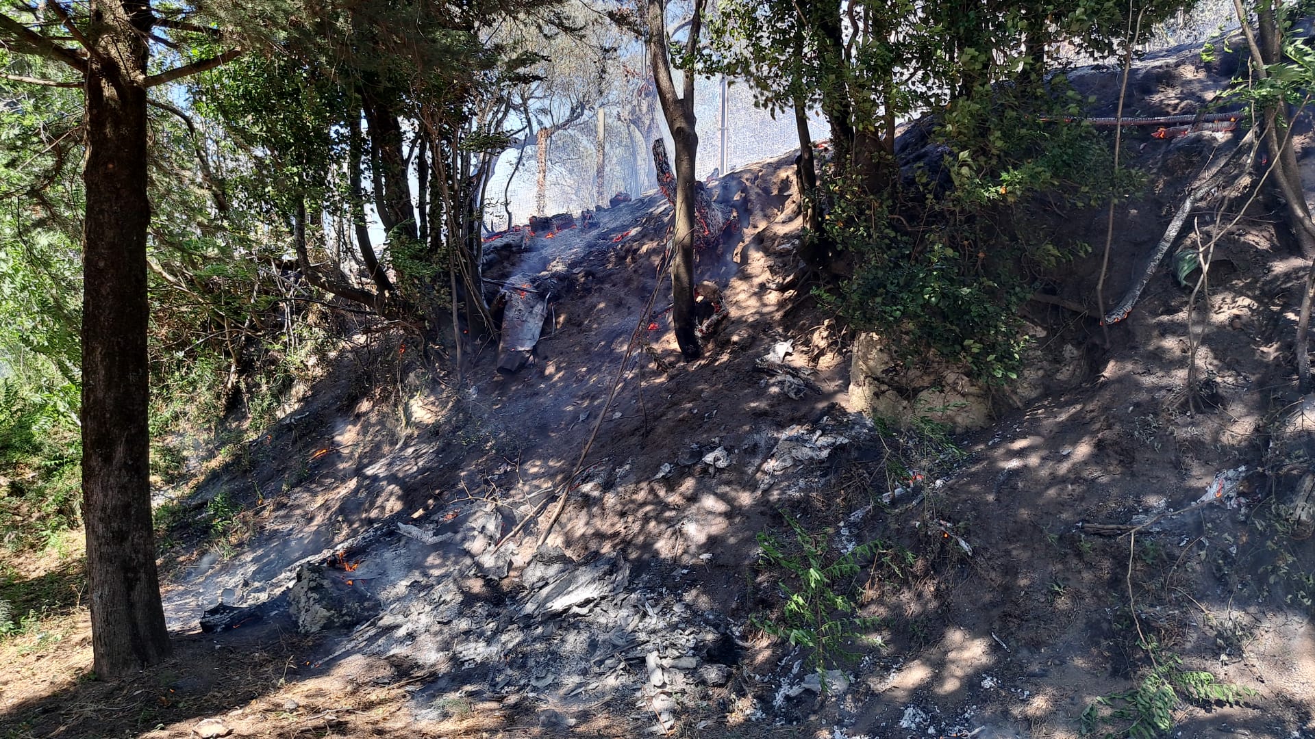 Quadrelle, incendio nella Pineta di Gesù e Maria. Non tarda ad arrivare il ringraziamento del sindaco Carmine Isola: “Intervento tempestivo, evitato il peggio” Quadrelle, incendio nella Pineta di Gesù e Maria. Non tarda ad arrivare il ringraziamento del sindaco Carmine Isola: “Intervento tempestivo, evitato il peggio”