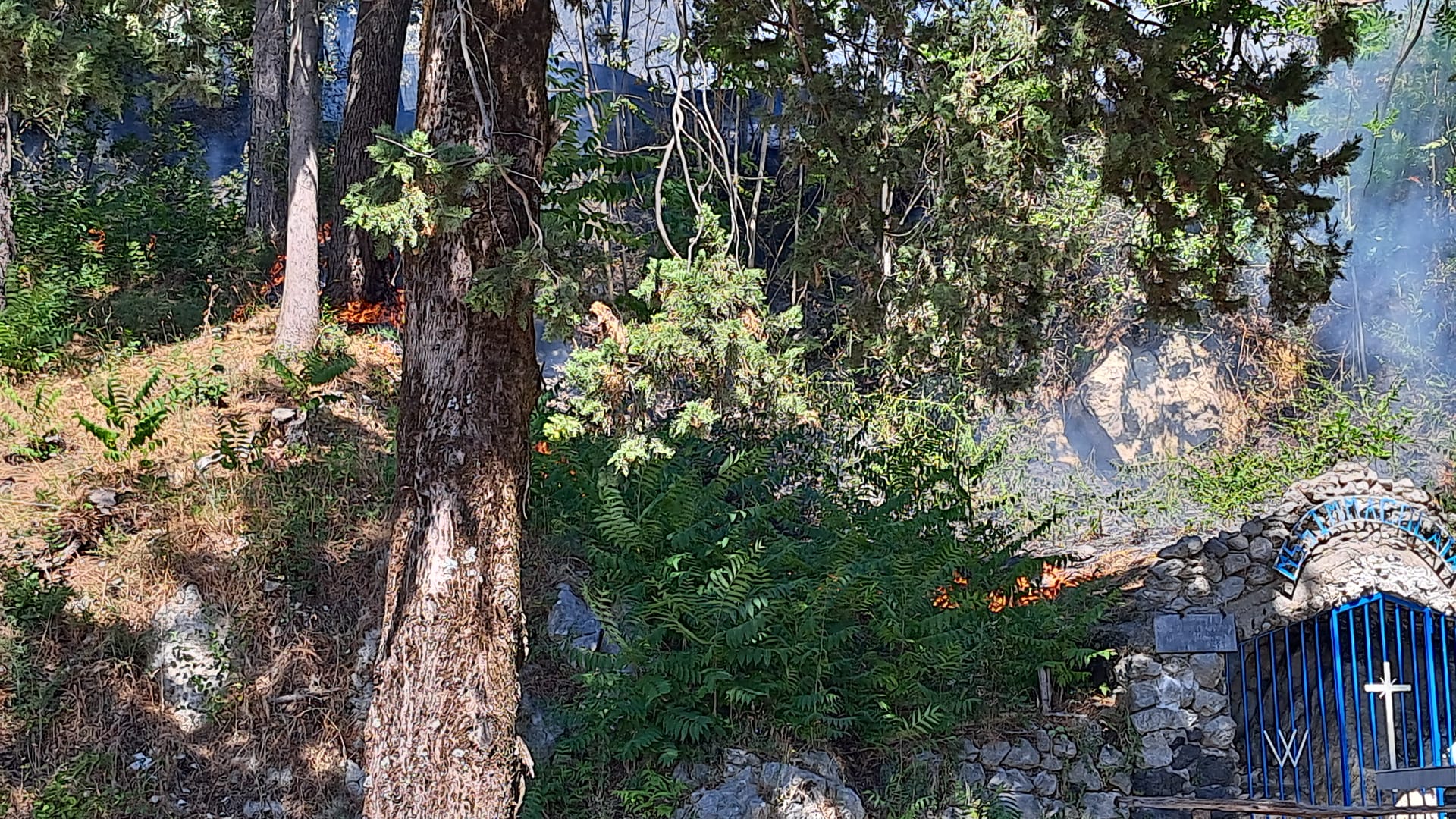 Quadrelle, incendio nella Pineta di Gesù e Maria. Non tarda ad arrivare il ringraziamento del sindaco Carmine Isola: “Intervento tempestivo, evitato il peggio” Quadrelle, incendio nella Pineta di Gesù e Maria. Non tarda ad arrivare il ringraziamento del sindaco Carmine Isola: “Intervento tempestivo, evitato il peggio”