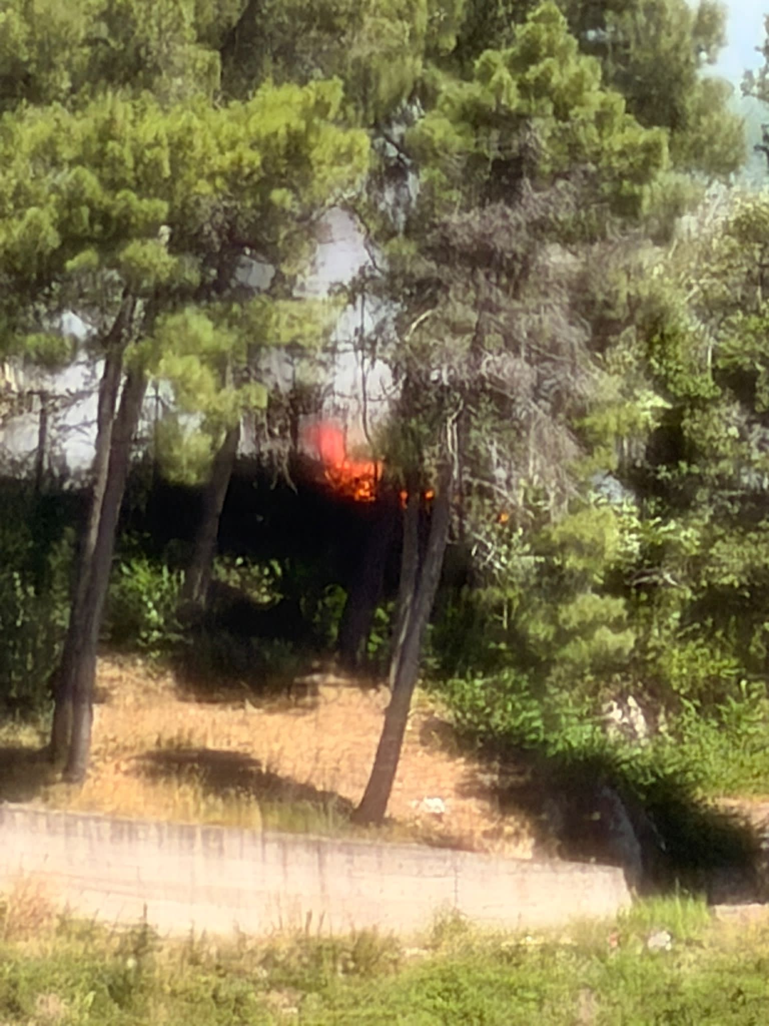 Quadrelle, incendio nella Pineta di Gesù e Maria. Non tarda ad arrivare il ringraziamento del sindaco Carmine Isola: “Intervento tempestivo, evitato il peggio” Quadrelle, incendio nella Pineta di Gesù e Maria. Non tarda ad arrivare il ringraziamento del sindaco Carmine Isola: “Intervento tempestivo, evitato il peggio”