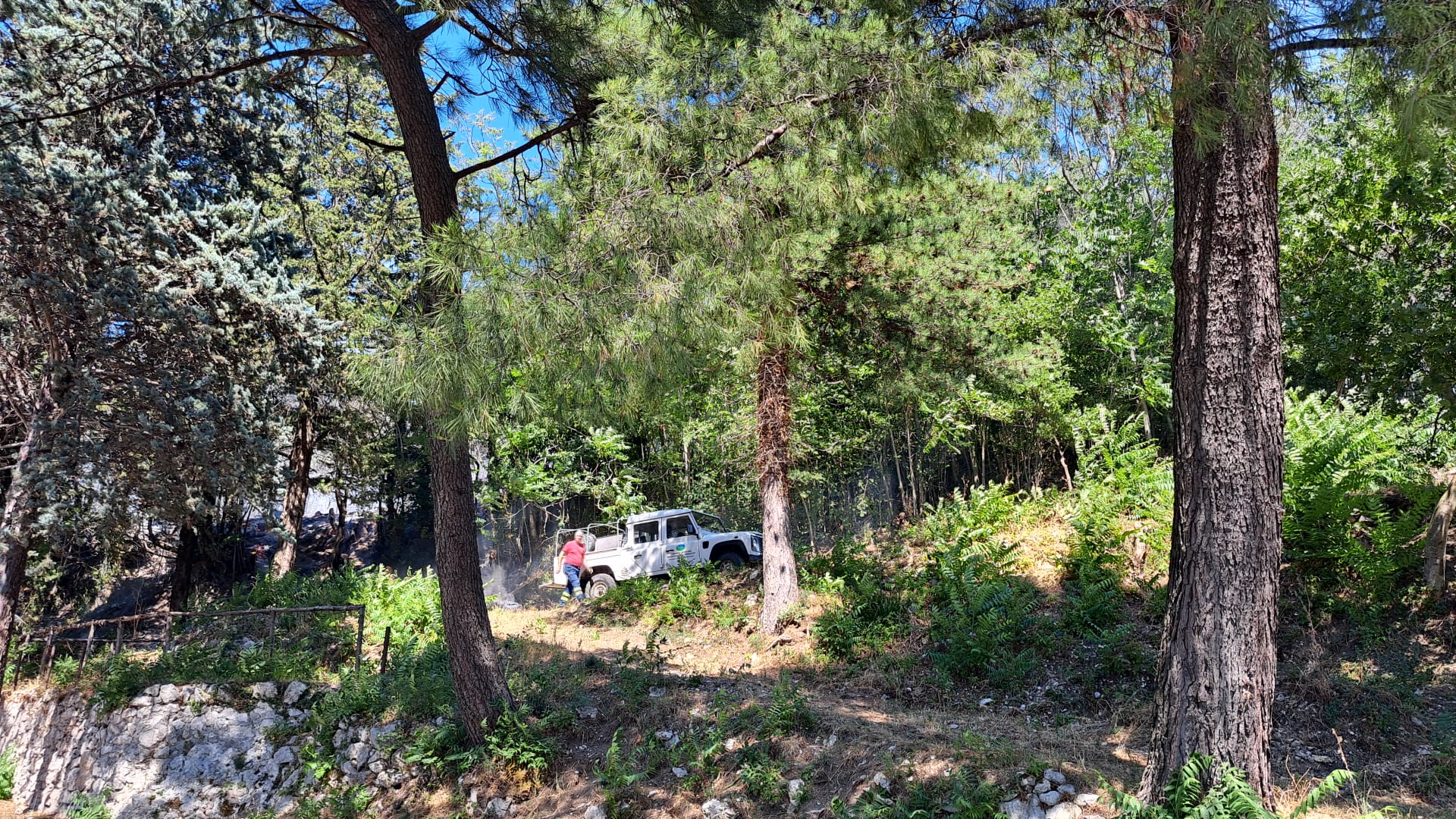 Quadrelle, incendio nella Pineta di Gesù e Maria. Non tarda ad arrivare il ringraziamento del sindaco Carmine Isola: “Intervento tempestivo, evitato il peggio” Quadrelle, incendio nella Pineta di Gesù e Maria. Non tarda ad arrivare il ringraziamento del sindaco Carmine Isola: “Intervento tempestivo, evitato il peggio”