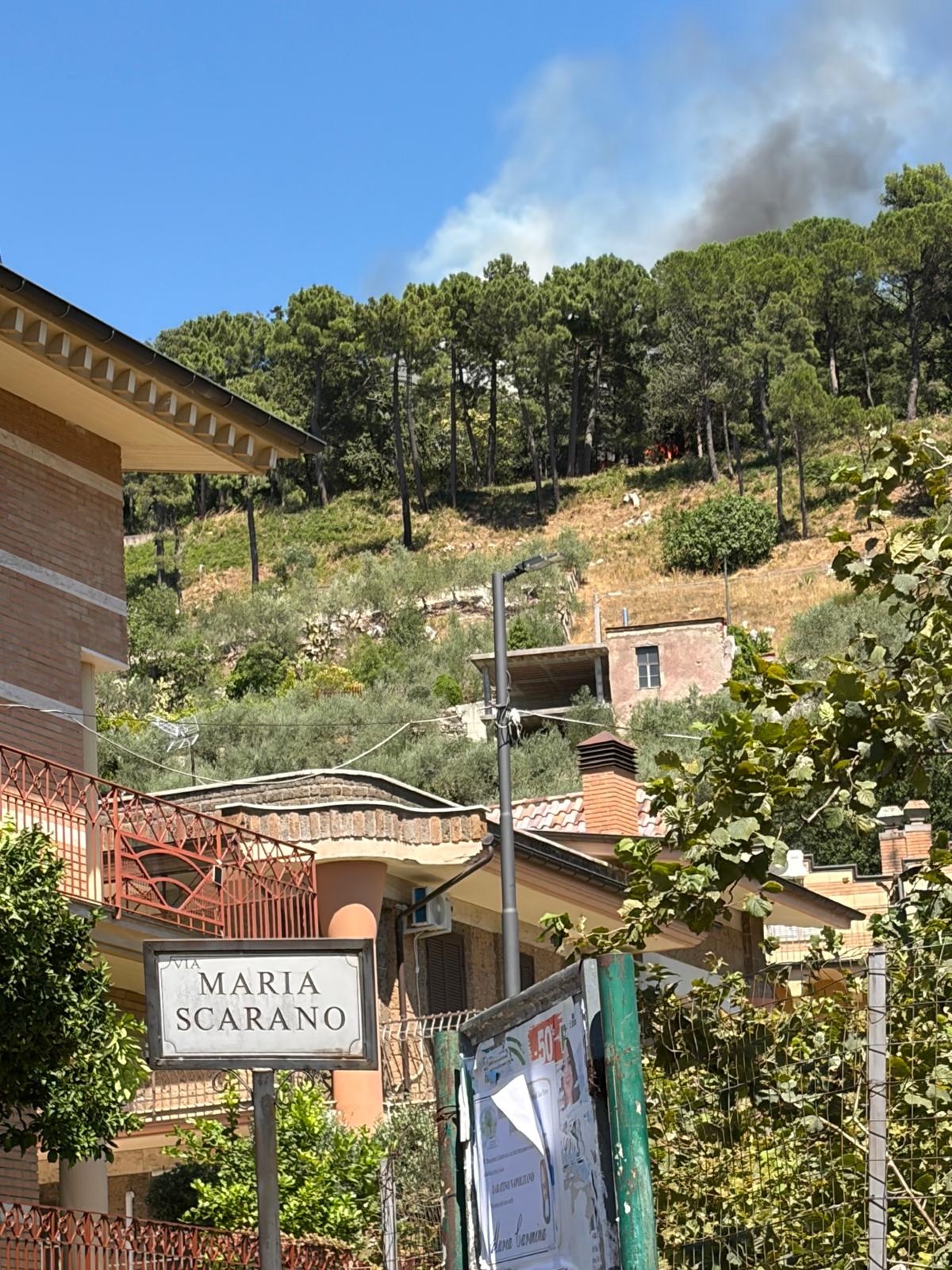 Quadrelle, incendio nella Pineta di Gesù e Maria. Non tarda ad arrivare il ringraziamento del sindaco Carmine Isola: “Intervento tempestivo, evitato il peggio” Quadrelle, incendio nella Pineta di Gesù e Maria. Non tarda ad arrivare il ringraziamento del sindaco Carmine Isola: “Intervento tempestivo, evitato il peggio”