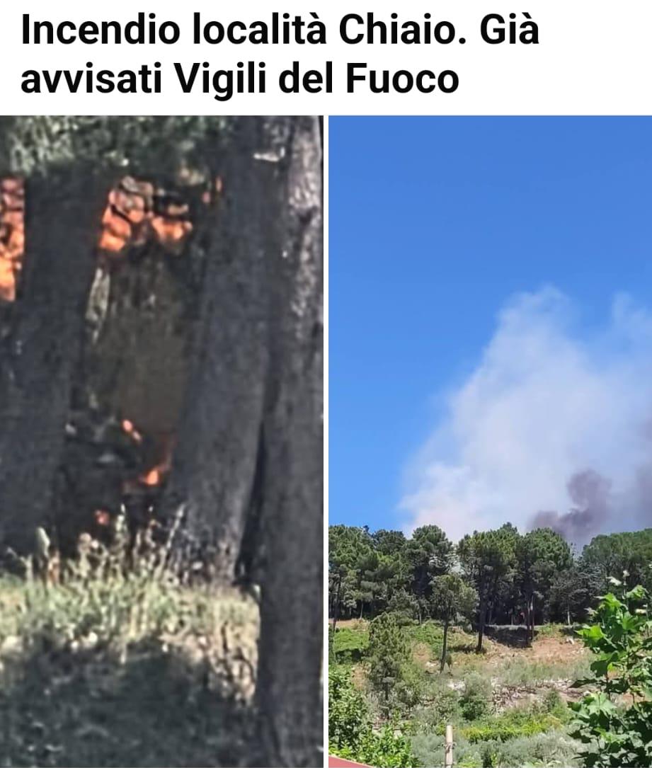 Quadrelle, incendio nella Pineta di Gesù e Maria. Non tarda ad arrivare il ringraziamento del sindaco Carmine Isola: “Intervento tempestivo, evitato il peggio” Quadrelle, incendio nella Pineta di Gesù e Maria. Non tarda ad arrivare il ringraziamento del sindaco Carmine Isola: “Intervento tempestivo, evitato il peggio”