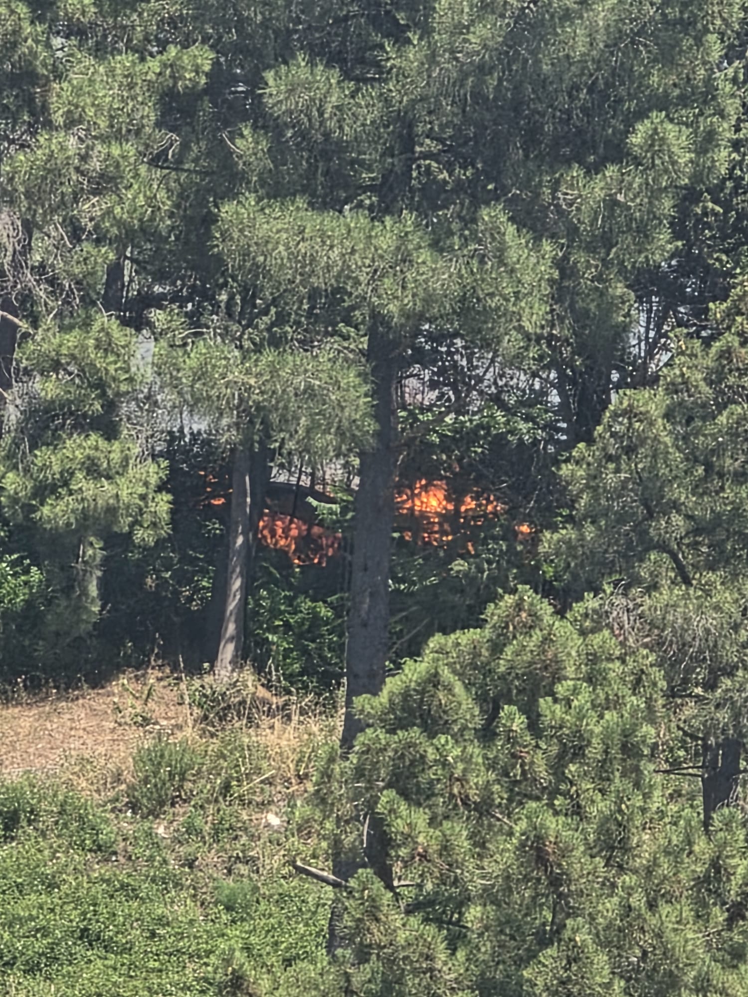 Quadrelle, vasto incendio in località Chiaio: fiamme minacciano la pineta, attesi i Vigili del Fuoco Quadrelle, vasto incendio in località Chiaio: fiamme minacciano la pineta, attesi i Vigili del Fuoco