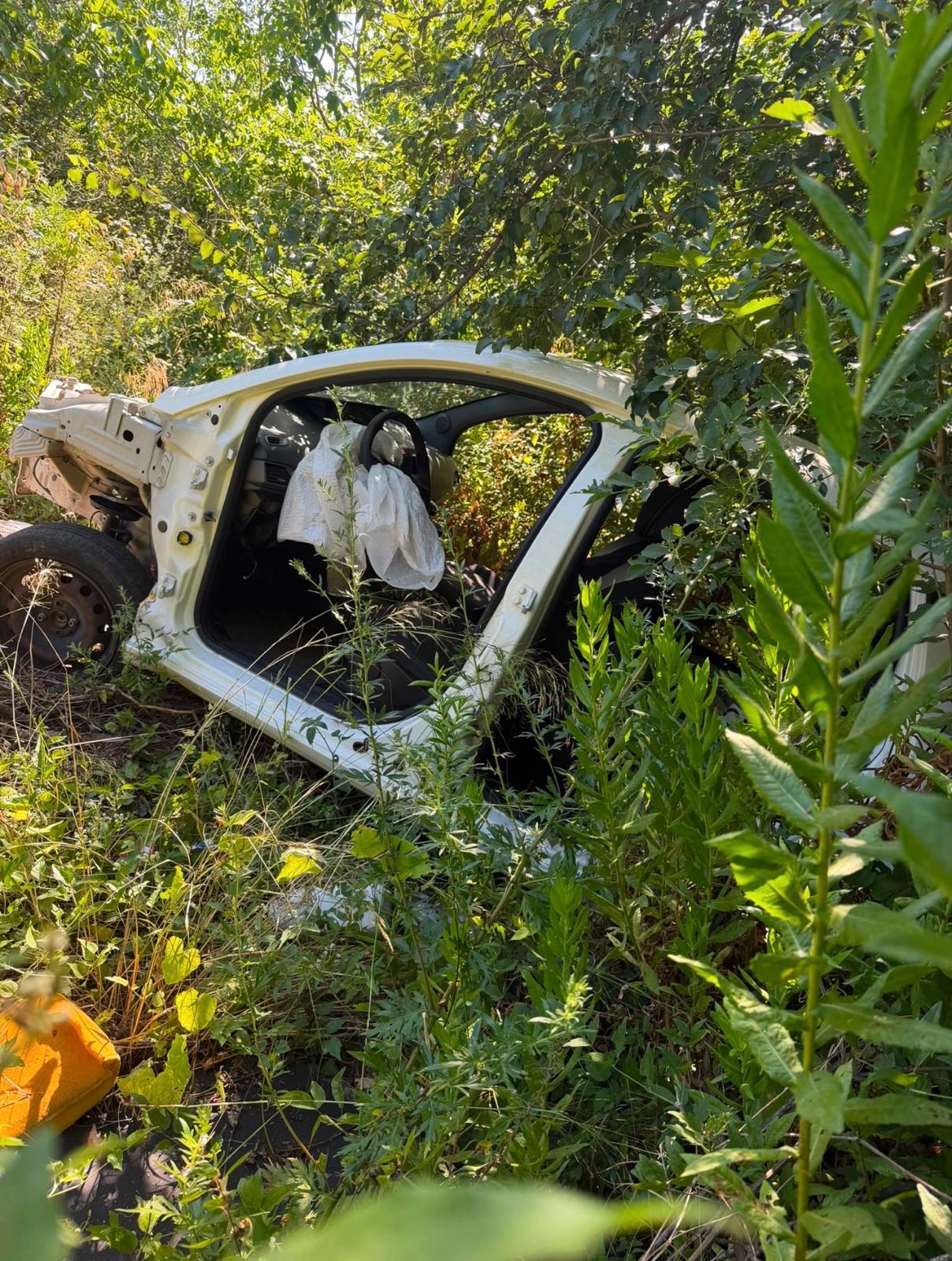 Sarno, auto cannibalizzata ritrovata in un dirupo durante un controllo della Guardia Agroforestale Italiana Sarno, auto cannibalizzata ritrovata in un dirupo durante un controllo della Guardia Agroforestale Italiana