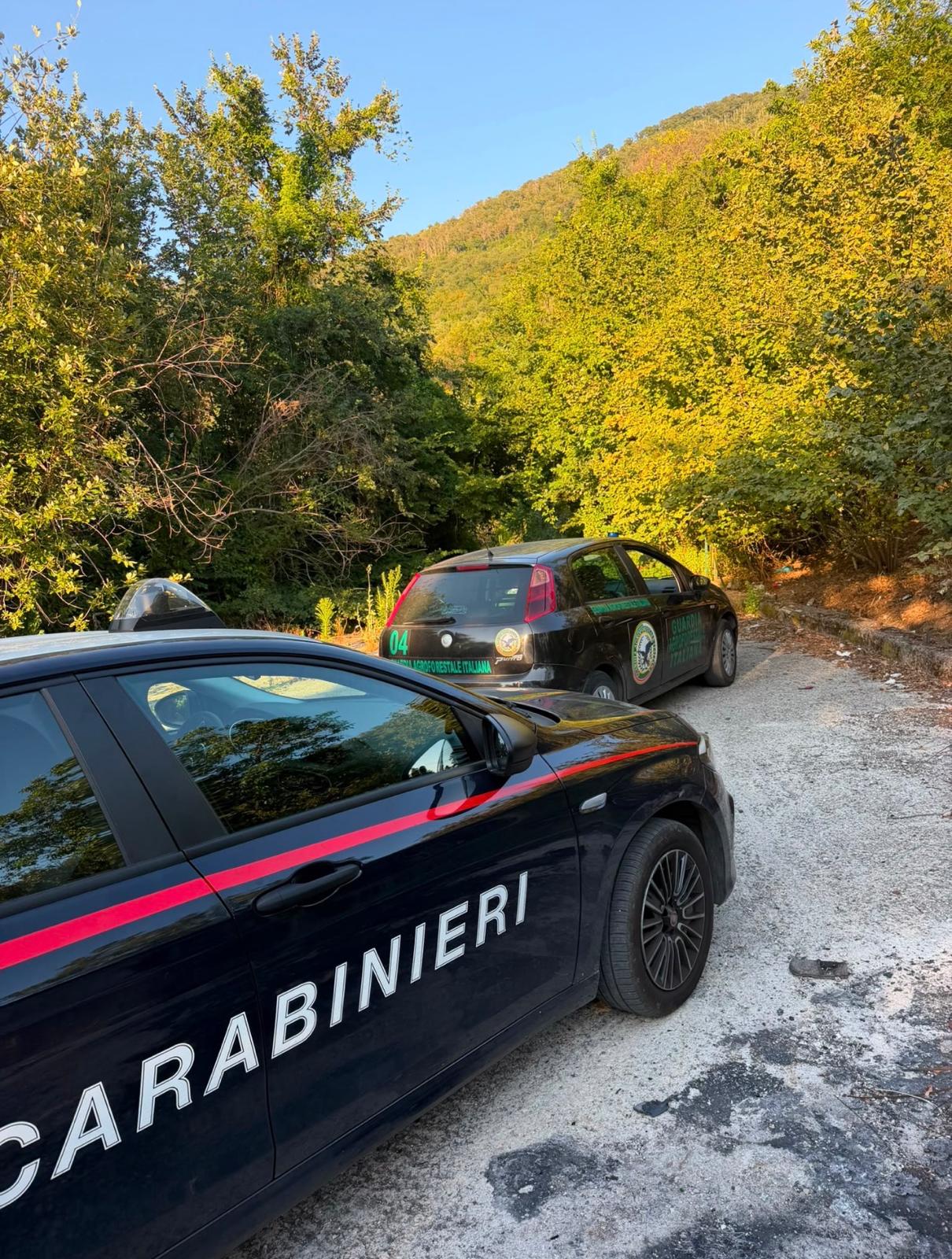 Sarno, auto cannibalizzata ritrovata in un dirupo durante un controllo della Guardia Agroforestale Italiana Sarno, auto cannibalizzata ritrovata in un dirupo durante un controllo della Guardia Agroforestale Italiana