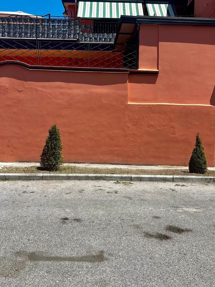Avella, rubate le nuove piante al Parcheggio Castellana: verifiche con la videosorveglianza Avella, rubate le nuove piante al Parcheggio Castellana: verifiche con la videosorveglianza