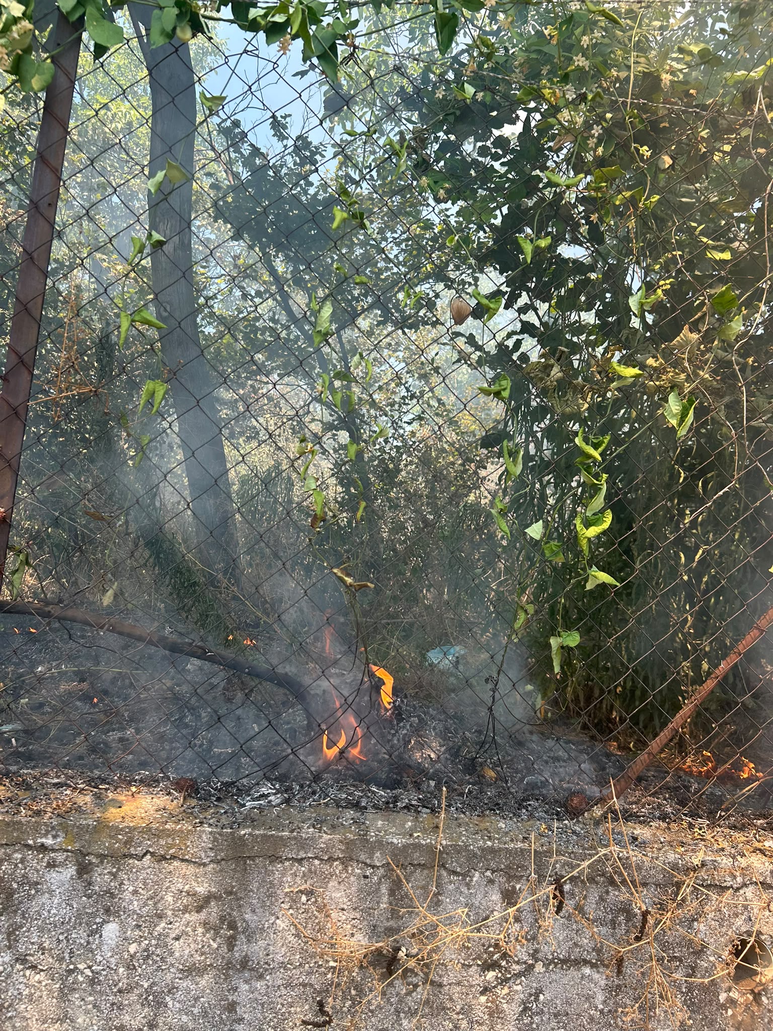 AVELLA. Incendio in un fondo rustico in via San Nazzaro: evitato il propagarsi delle fiamme grazie al tempestivo intervento della Comunità Montana Partenio AVELLA. Incendio in un fondo rustico in via San Nazzaro: evitato il propagarsi delle fiamme grazie al tempestivo intervento della Comunità Montana Partenio
