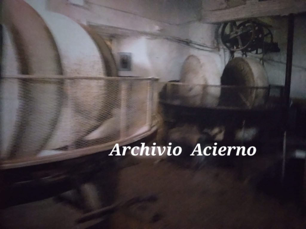 ​La Terra del Torchio e della Pietra: Storia, Volti e Memorie dei Frantoi di Sirignano