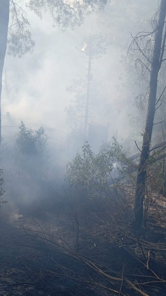 Forino (AV): A Fuoco la Collina di San Nicola con fiamme vicinissime al Santuario del Santo di Mira. Sconcerto e indignazione in paese