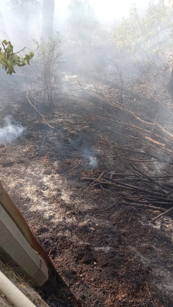 Forino (AV): A Fuoco la Collina di San Nicola con fiamme vicinissime al Santuario del Santo di Mira. Sconcerto e indignazione in paese Forino (AV): A Fuoco la Collina di San Nicola con fiamme vicinissime al Santuario del Santo di Mira. Sconcerto e indignazione in paese