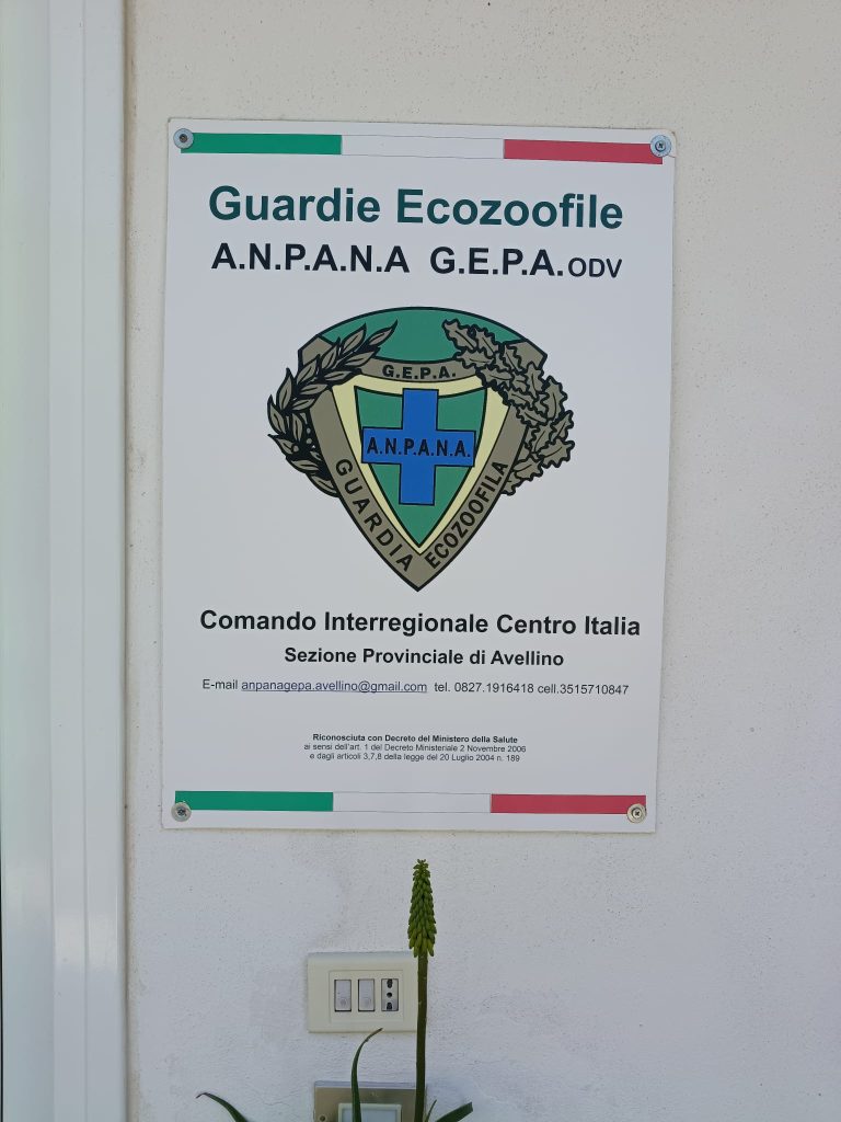 Luigi De Laurentiis di Quadrelle alla guida provinciale delle Guardie Zoofile ANPANA GEPA Luigi De Laurentiis di Quadrelle alla guida provinciale delle Guardie Zoofile ANPANA GEPA