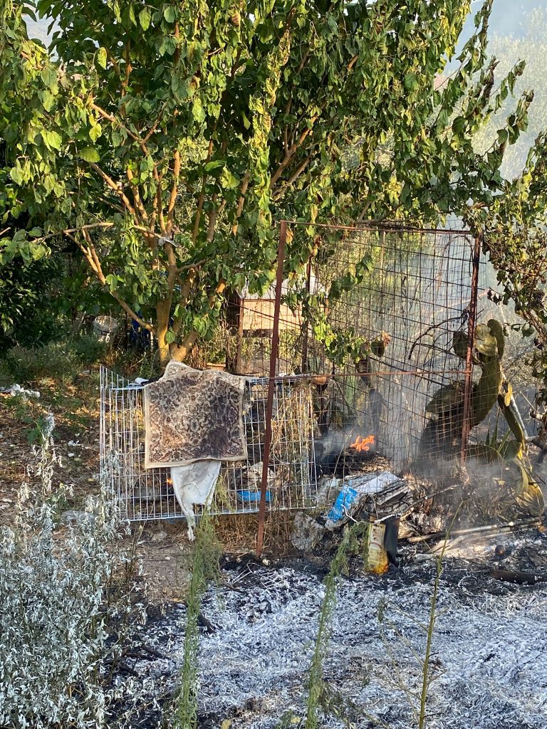 LAURO. Incendio sulla Provinciale Fontonevella, intervengono Polizia e Vigili del Fuoco LAURO. Incendio sulla Provinciale Fontonevella, intervengono Polizia e Vigili del Fuoco