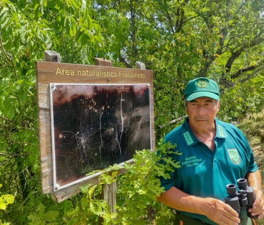 Salerno, prevenzione degli incendi boschivi: vasta operazione della Guardia Agroforestale Italiana Salerno, prevenzione degli incendi boschivi: vasta operazione della Guardia Agroforestale Italiana