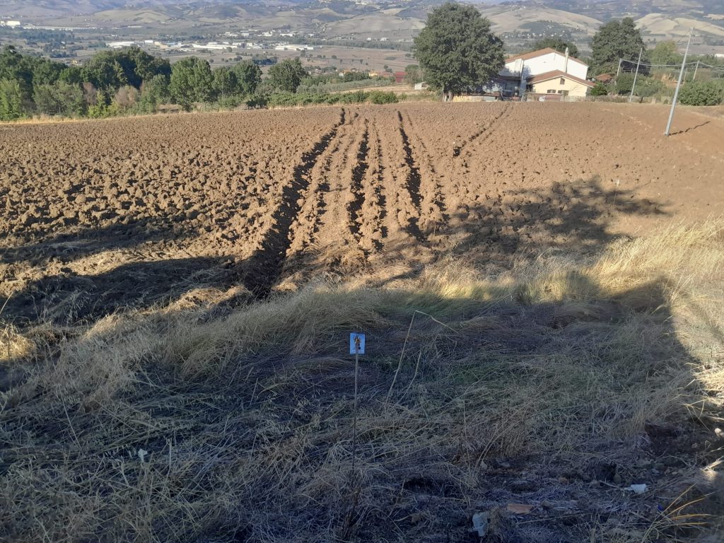 STURNO (AV). “Lu Surco re l’Angelo “, in onore di San Michele Arcangelo.