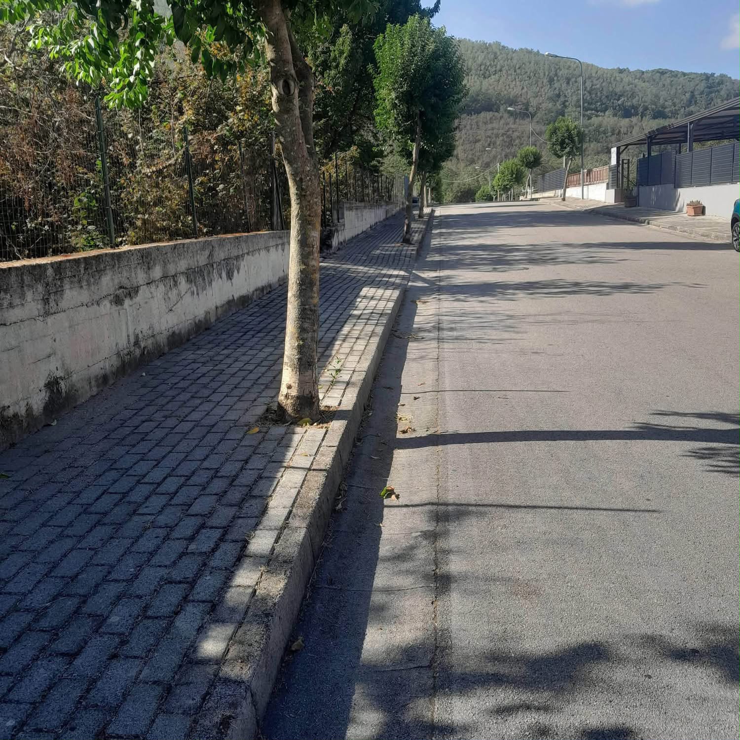 Mugnano del Cardinale, manutenzione e cura del territorio: «Il lavoro c’è ogni giorno, ma serve la collaborazione di tutti» Mugnano del Cardinale, manutenzione e cura del territorio: «Il lavoro c’è ogni giorno, ma serve la collaborazione di tutti»