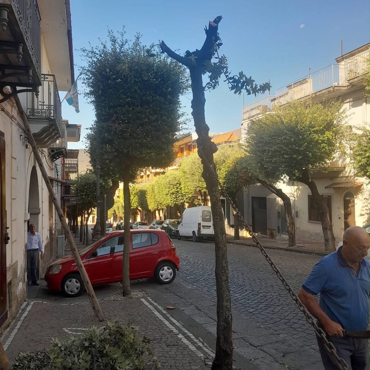 Mugnano del Cardinale, manutenzione e cura del territorio: «Il lavoro c’è ogni giorno, ma serve la collaborazione di tutti» Mugnano del Cardinale, manutenzione e cura del territorio: «Il lavoro c’è ogni giorno, ma serve la collaborazione di tutti»
