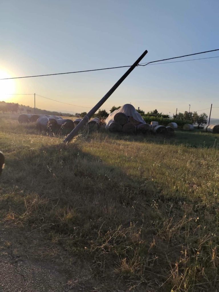 Sturno, pali della linea telefonica in bilico lungo la strada: scatta la segnalazione