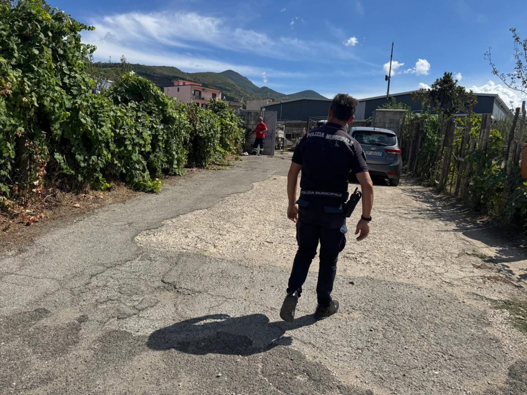 Mugnano del Cardinale, incendio al confine con Sirignano: tempestivo l’intervento dell’AIB.(Foto e video)